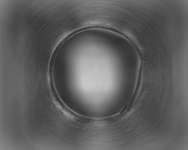 X0000056320888200509021600