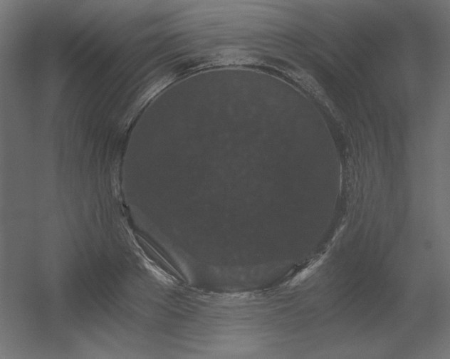 X0000056320889200509021600