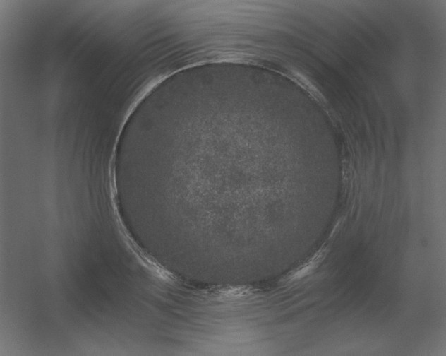 X0000056320891200509021600