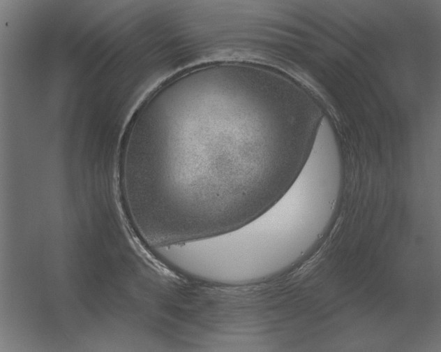 X0000056320896200509021600
