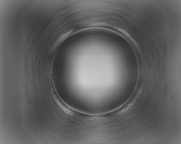 X0000056320897200509021600
