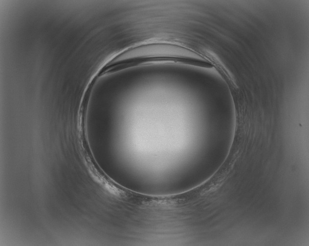 X0000056320900200509021600