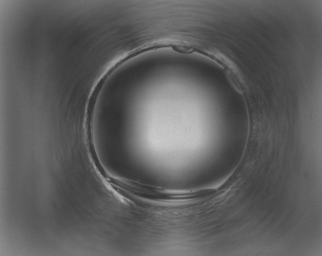 X0000056320902200509021600