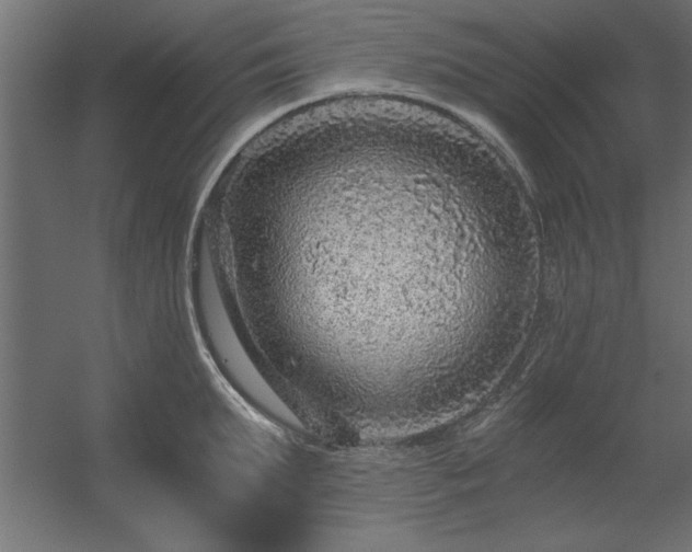 X0000056320903200509021600