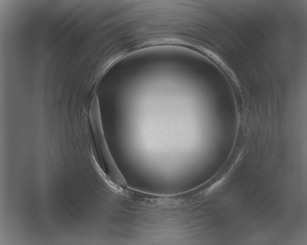 X0000056320905200509021600
