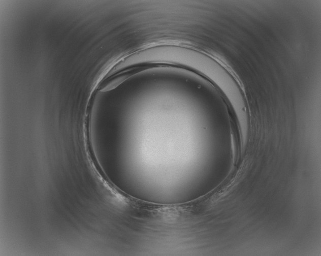 X0000056320906200509021600