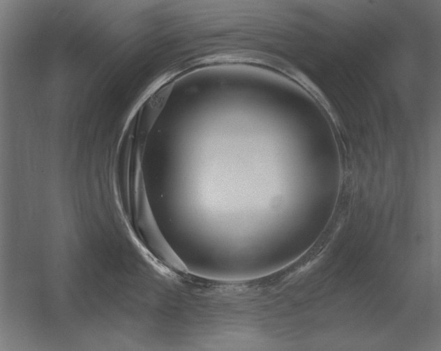 X0000056320909200509021600