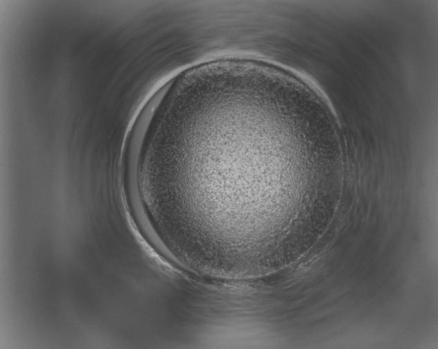 X0000056320911200509021600