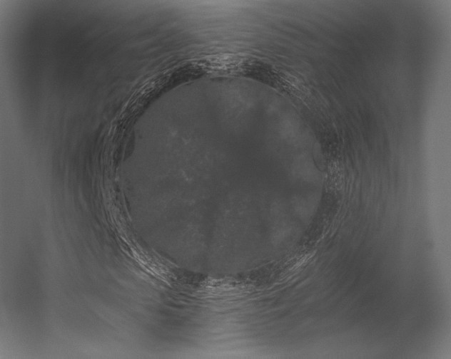X0000056320913200509021559