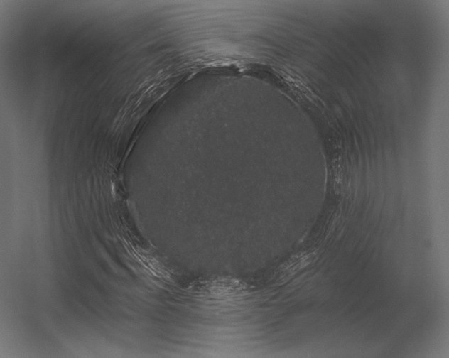 X0000056320916200509021559