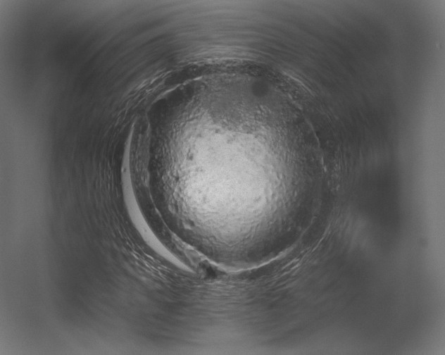 X0000056320917200509021559