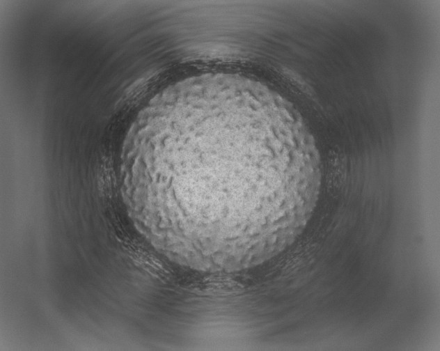 X0000056320918200509021559