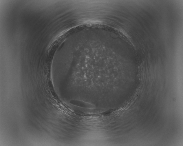 X0000056320919200509021559
