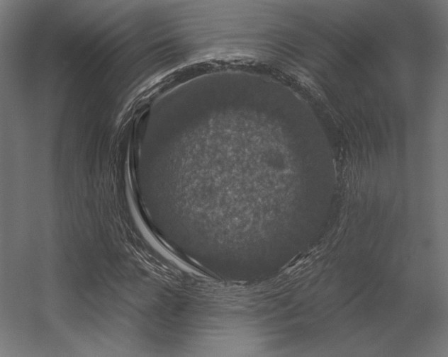 X0000056320920200509021559