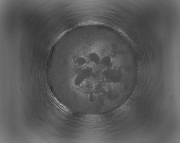 X0000056320921200509021559