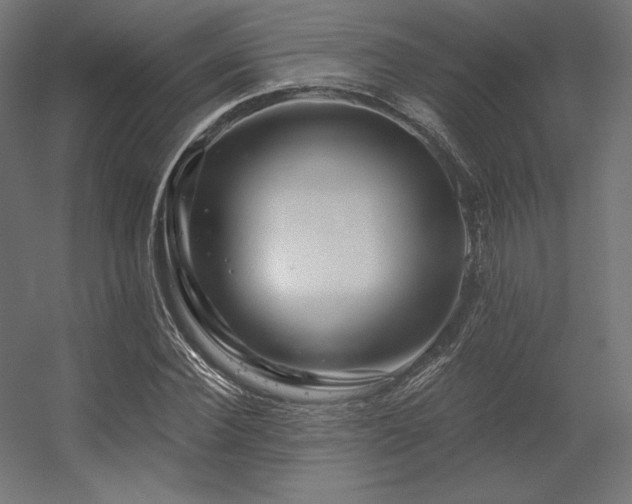X0000056320924200509021559