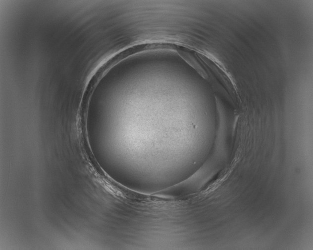 X0000056320928200509021559