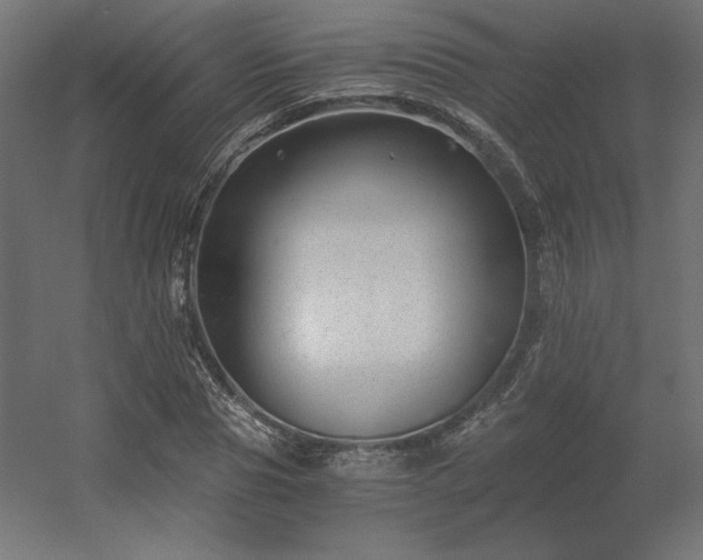 X0000056320929200509021559