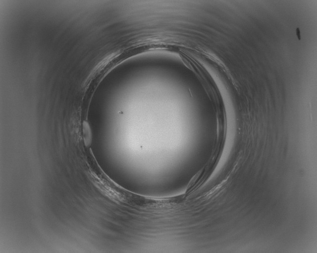X0000056320930200509021559