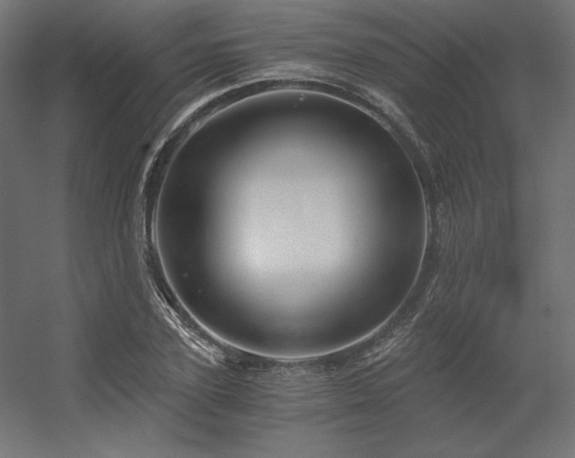 X0000056320931200509021559