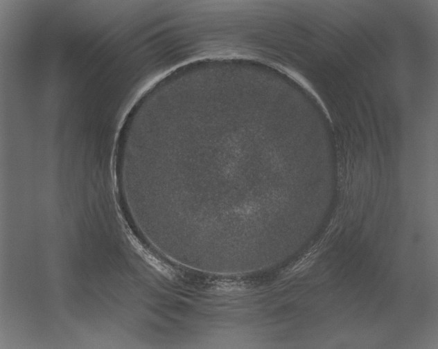 X0000056320935200509021559