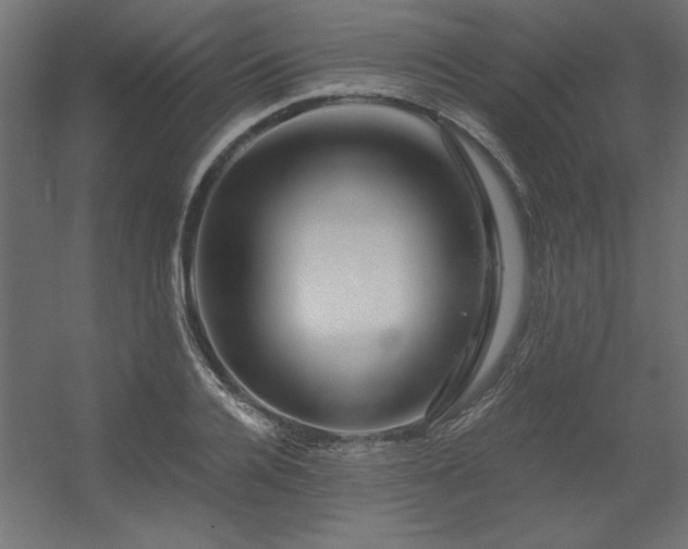 X0000056320936200509021559