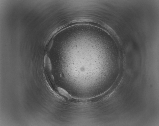 X0000056320937200509021559