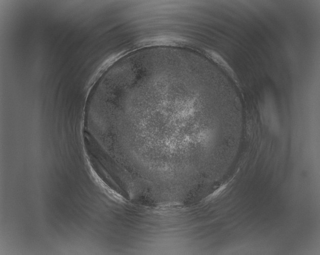X0000056320938200509021559