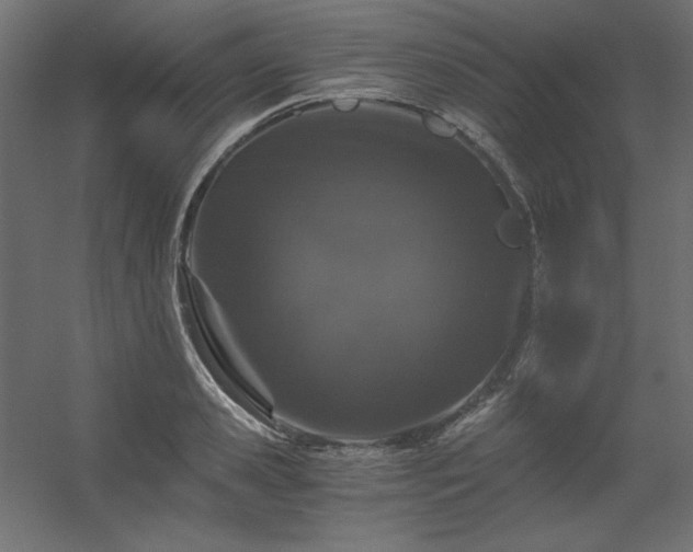X0000056320941200509021559