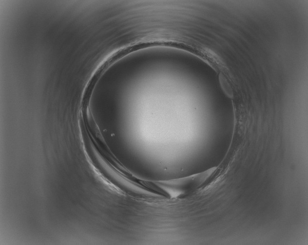 X0000056320942200509021559
