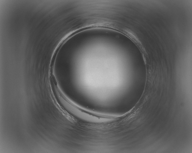 X0000056320948200509021559