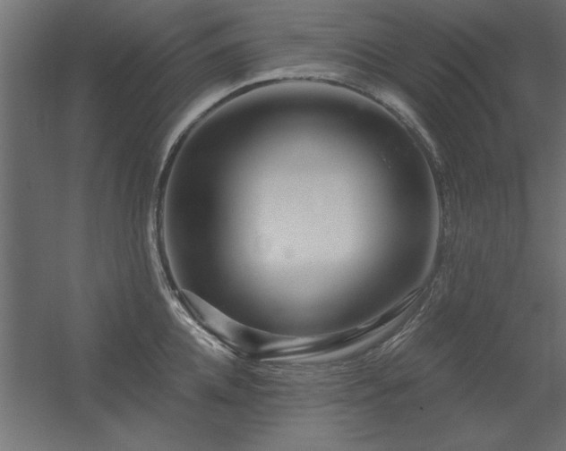 X0000056320952200509021559