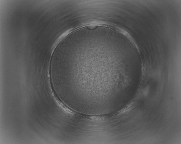 X0000056320954200509021600