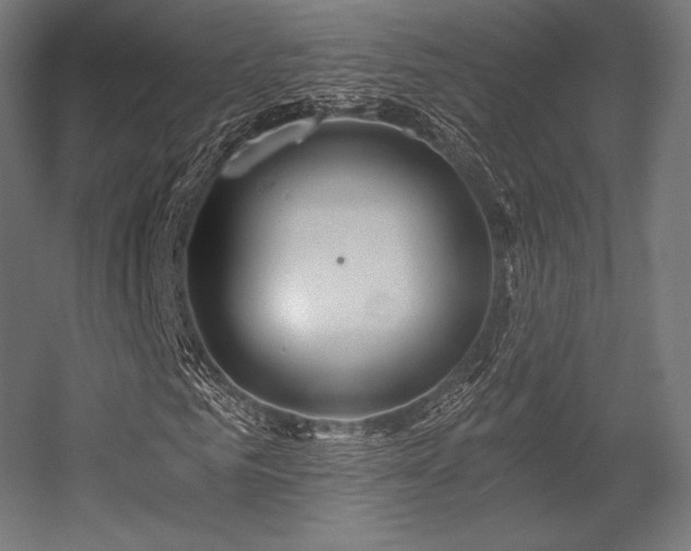 X0000056320961200509021559