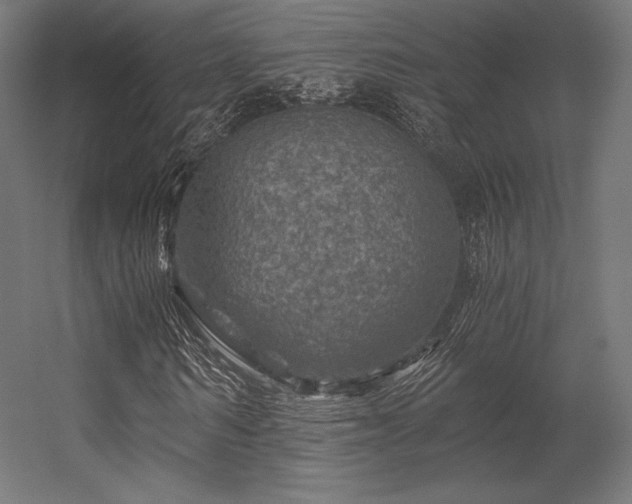 X0000056320962200509021559