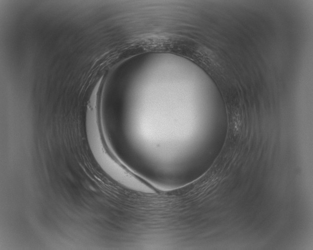 X0000056320964200509021559