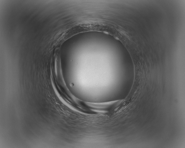 X0000056320965200509021559
