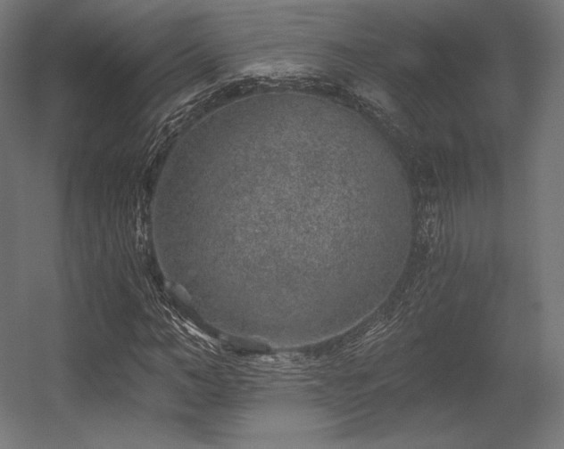 X0000056320966200509021559