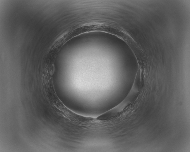 X0000056320967200509021559