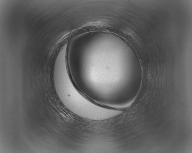 X0000056320968200509021559
