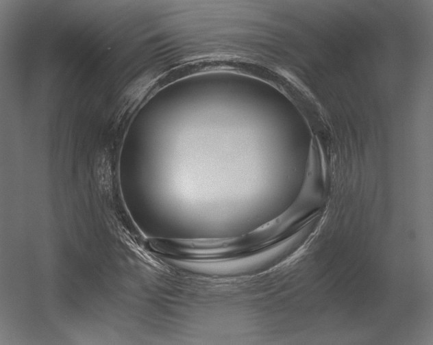 X0000056320969200509021559