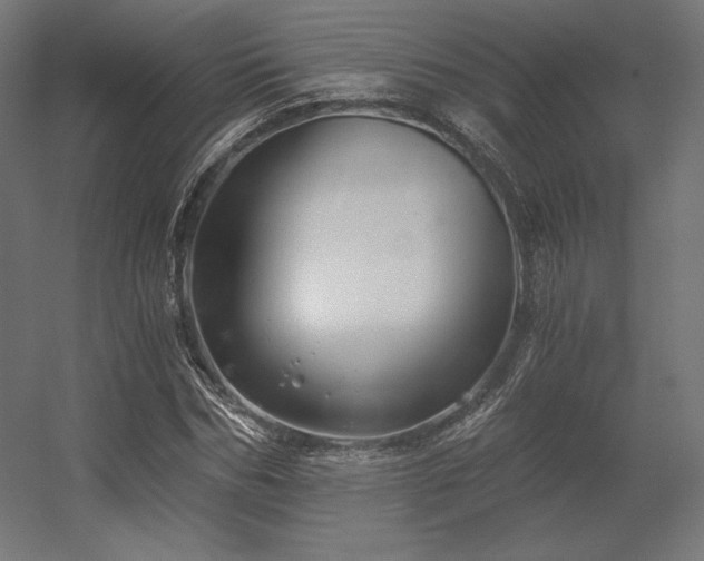 X0000056320970200509021559