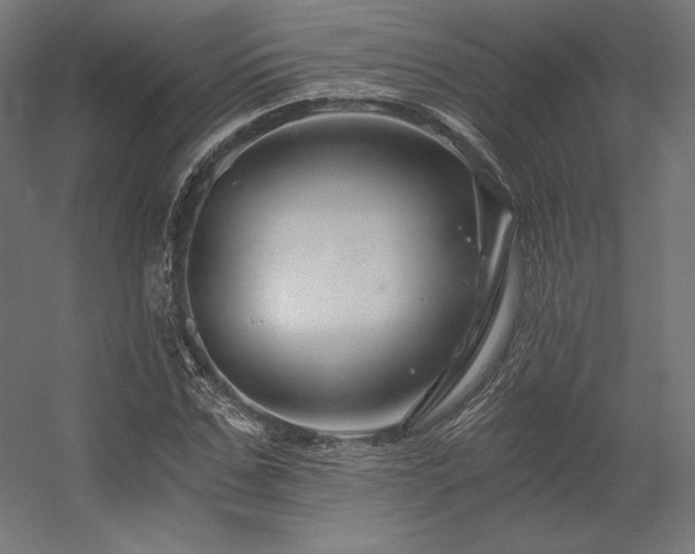 X0000056320971200509021559