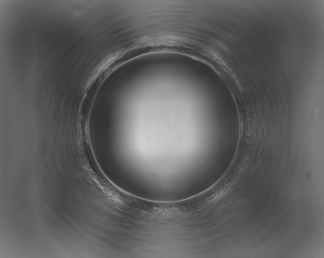 X0000056320978200509021559