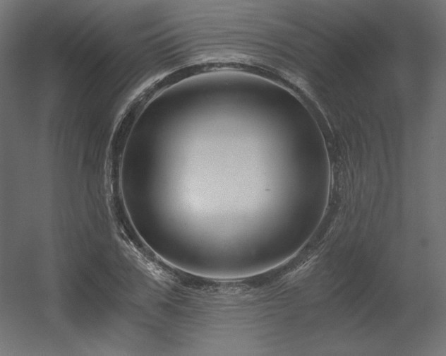 X0000056320979200509021558