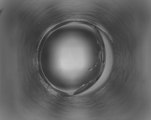 X0000056320980200509021558