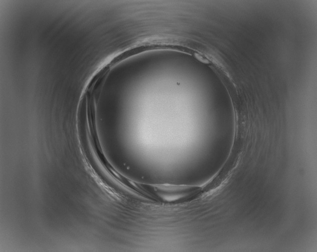 X0000056320981200509021558