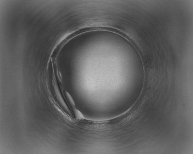 X0000056320982200509021558