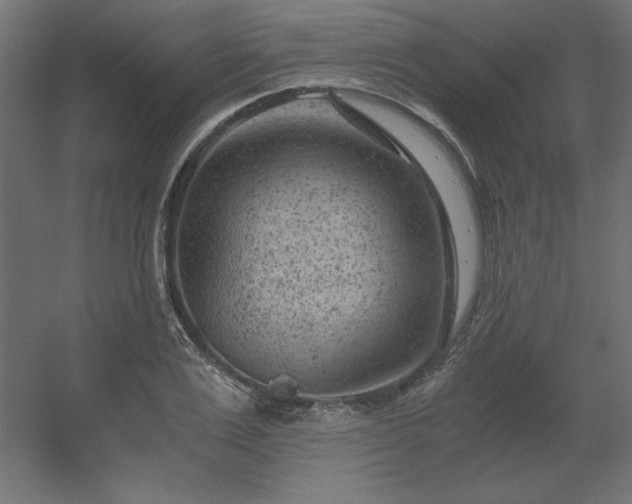 X0000056320983200509021558