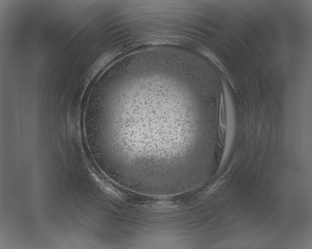 X0000056320986200509021558